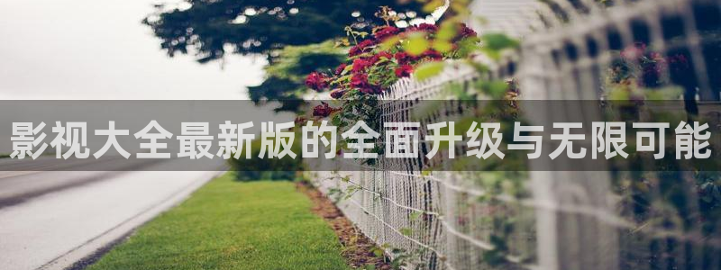 色婷婷电影网：影视大全最新版的全面升级与无限可能