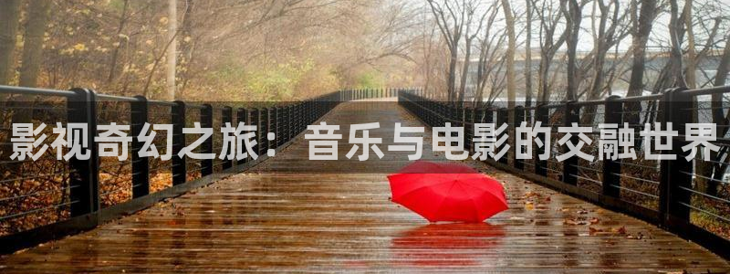 色婷婷电影网：影视奇幻之旅：音乐与电影的交融世界